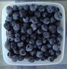 blueberries from freezer